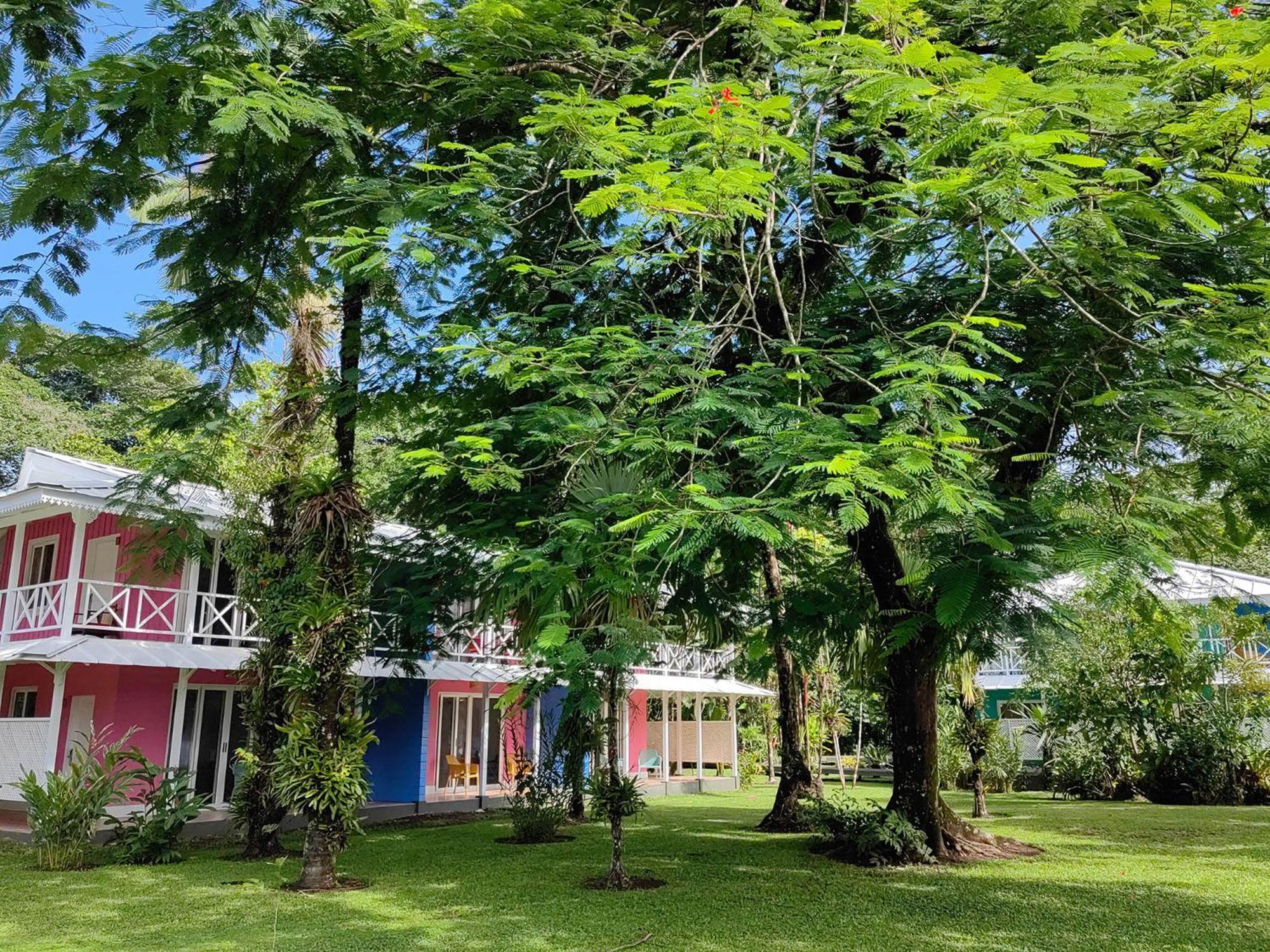 Tortuga Lodge & Gardens By Boeena Tortuguero Exteriér fotografie